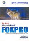 ֡ ԧ! Microsoft Visual FoxPro Ѻ (BK0704000271)