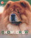  Chow Chow Dog's Story (BK0704000287)