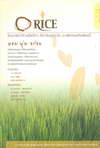 O-RICE (BK0902000122)