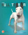 Bull Terrier Dog