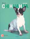 Chihuahua Dog's Story  (BK0908000563)