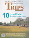 Trip շ 10 Ѻ 119 ѹ¹ 2549 (BK1002000032)